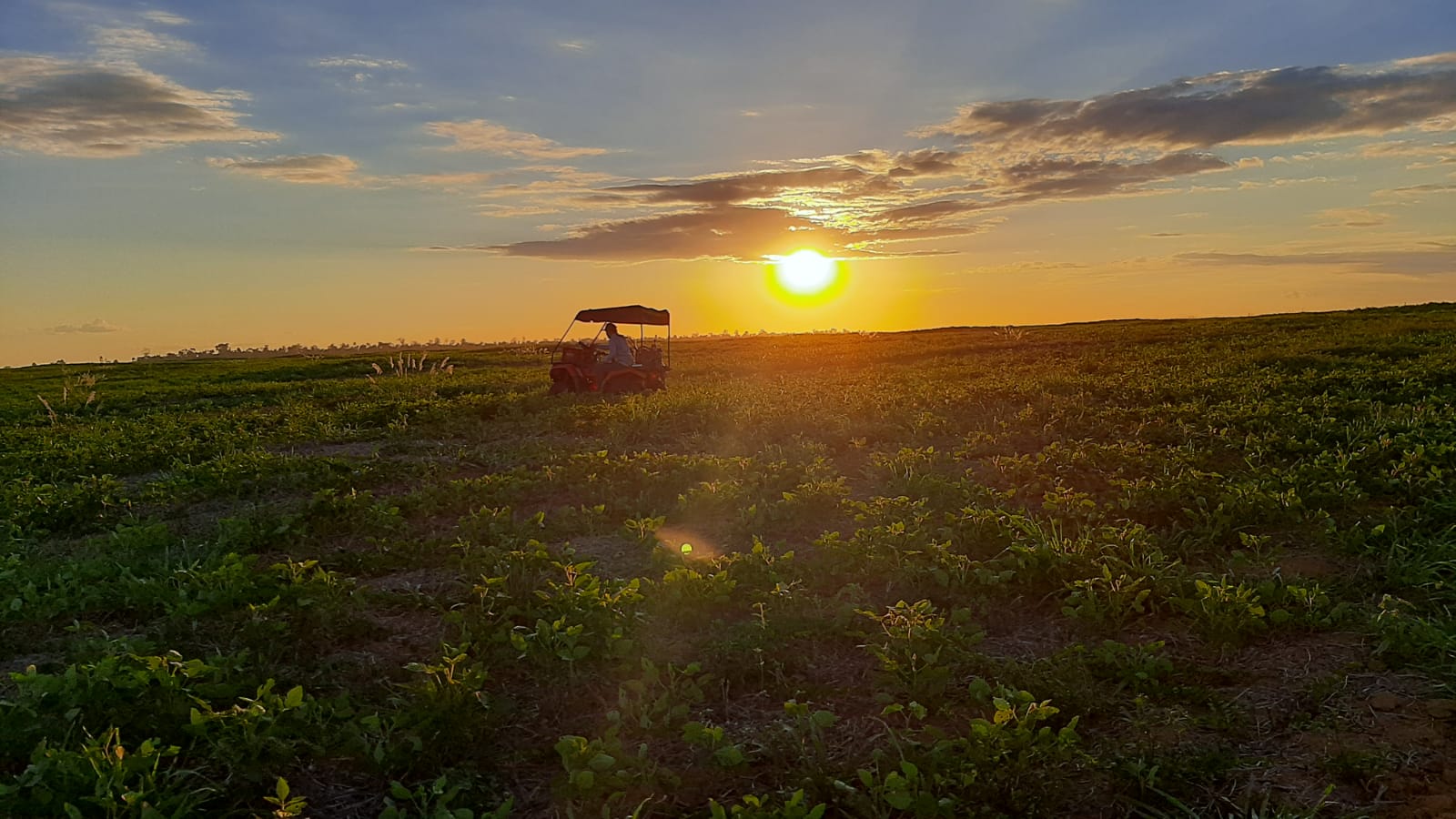 Portal Agro